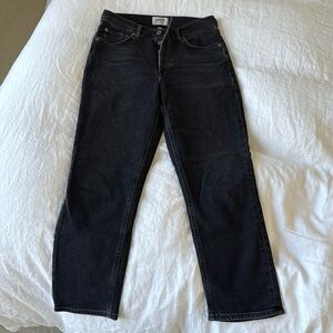 Agolde Riley High Rise Straight Crop in Panoramic Size 27